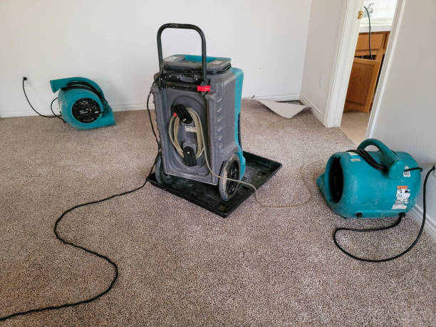 Best Flooded house restoration  in Bluffton, SC