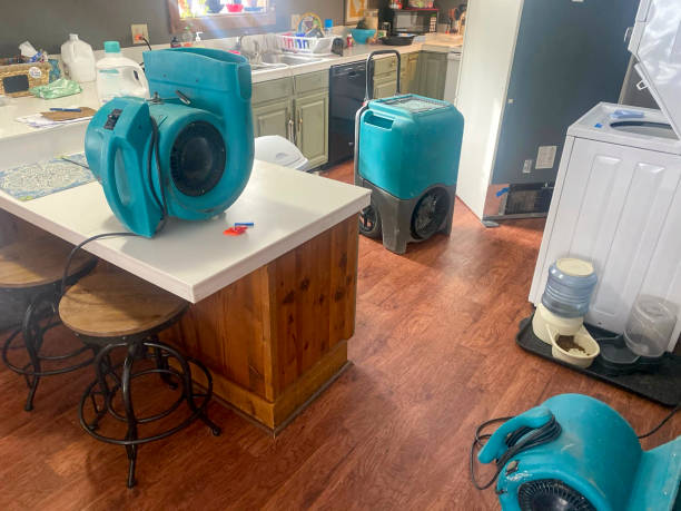 Carpet water damage restoration in SC