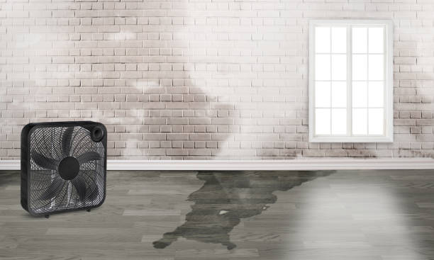  Bluffton, SC Water damage restoration Pros
