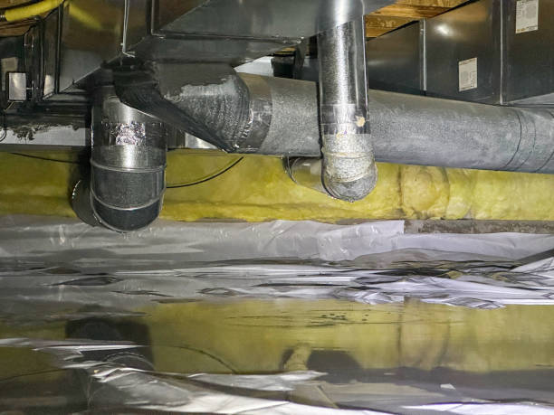 Best Basement water damage restoration  in Bluffton, SC
