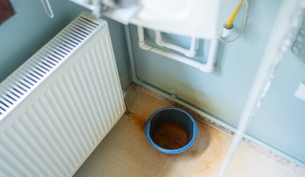 Best Professional water damage repair  in Bluffton, SC