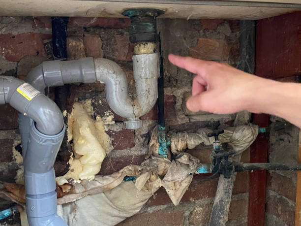 Best Water damage restoration near me  in Bluffton, SC