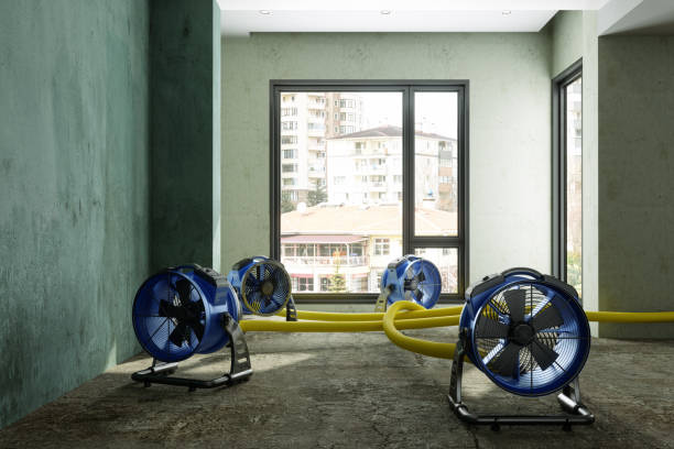 Best Water damage restoration near me  in Bluffton, SC